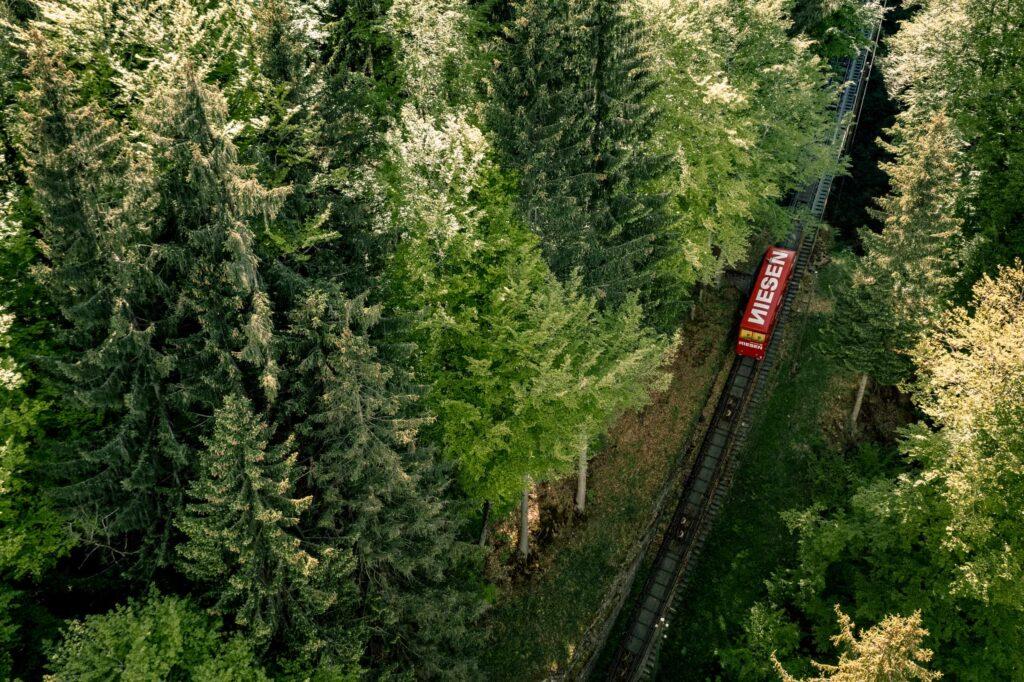 Niesenbahn Geburtstag